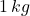 1 \, kg