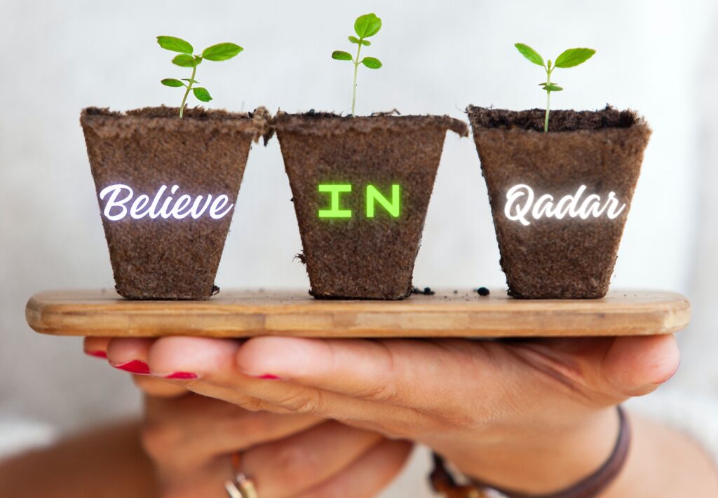 A person holding a wooden board in her hand with three small flowerpots over it and Believe in Qadar is written on them.