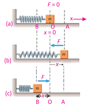 Mass-Spring System - Labelled Diagram