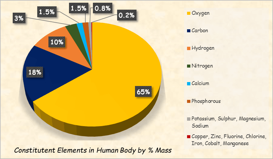 Constituent Elements in Human Body - Pie Chart