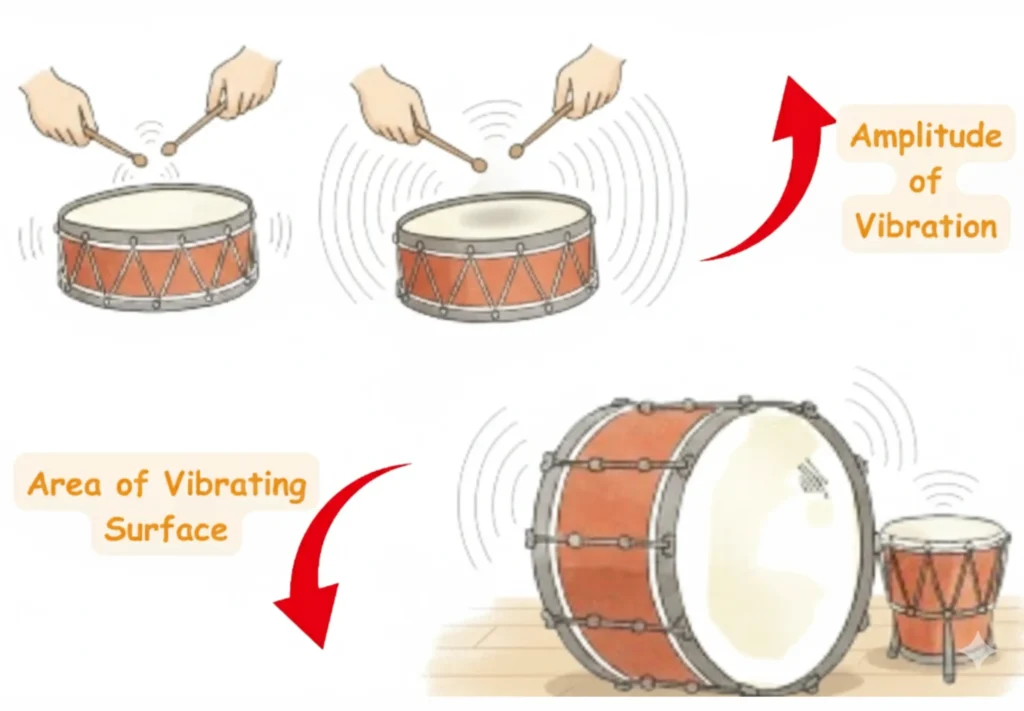 Factors Affecting Loudness Amplitude of Vibration and Area of Vibrating Surface