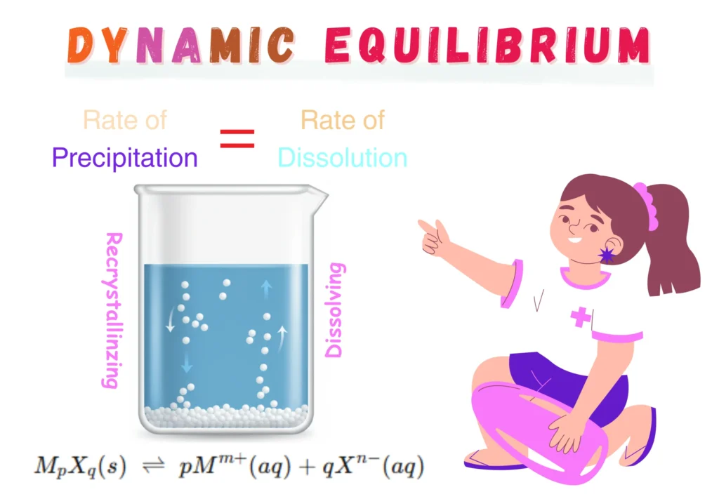 Illustration of Dynamic Equilibrium and Solubility