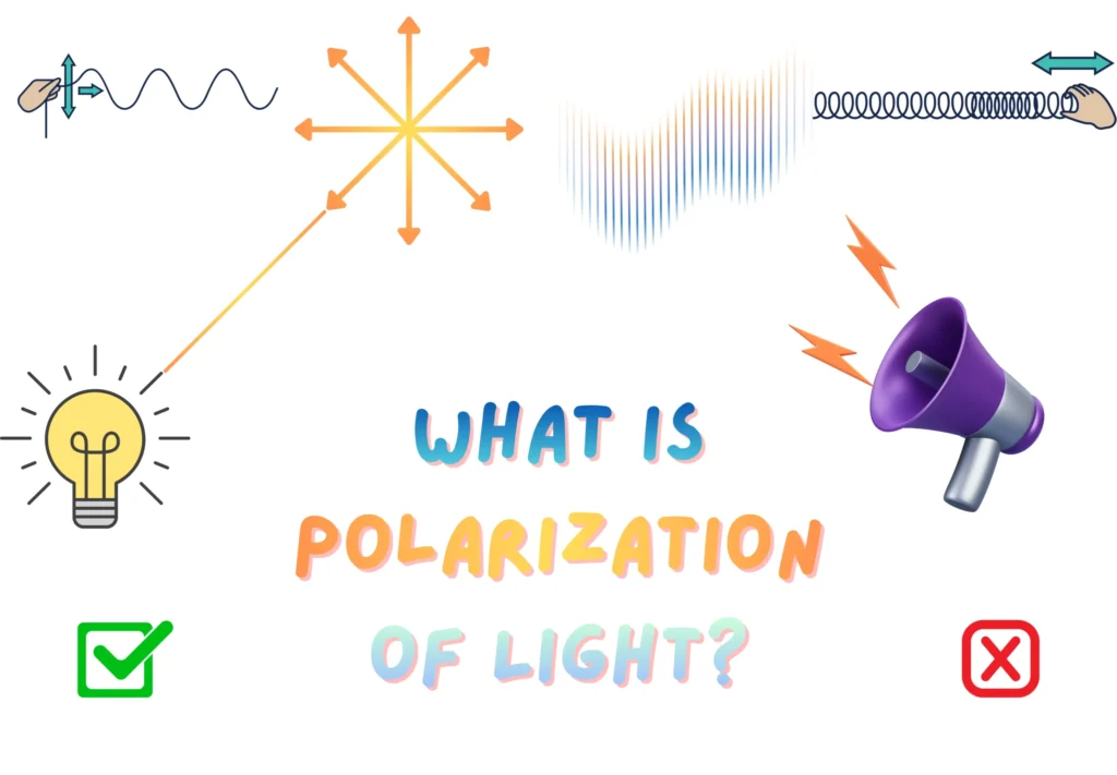 Illustration Comparing Transverse Wave and Longitudinal Wave _ What is the Polarization of Light in Physics?
