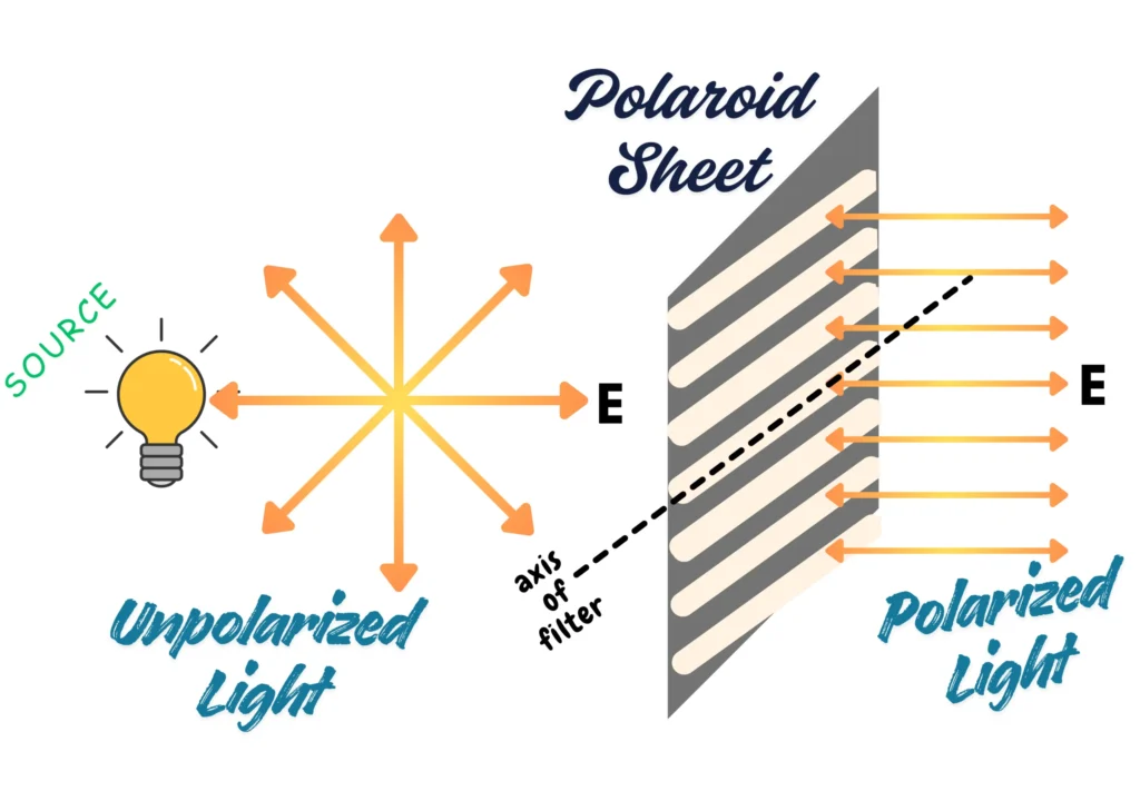 Schematic Demonstrating the Working of Polarizing Filter aka Polaroid Sheet