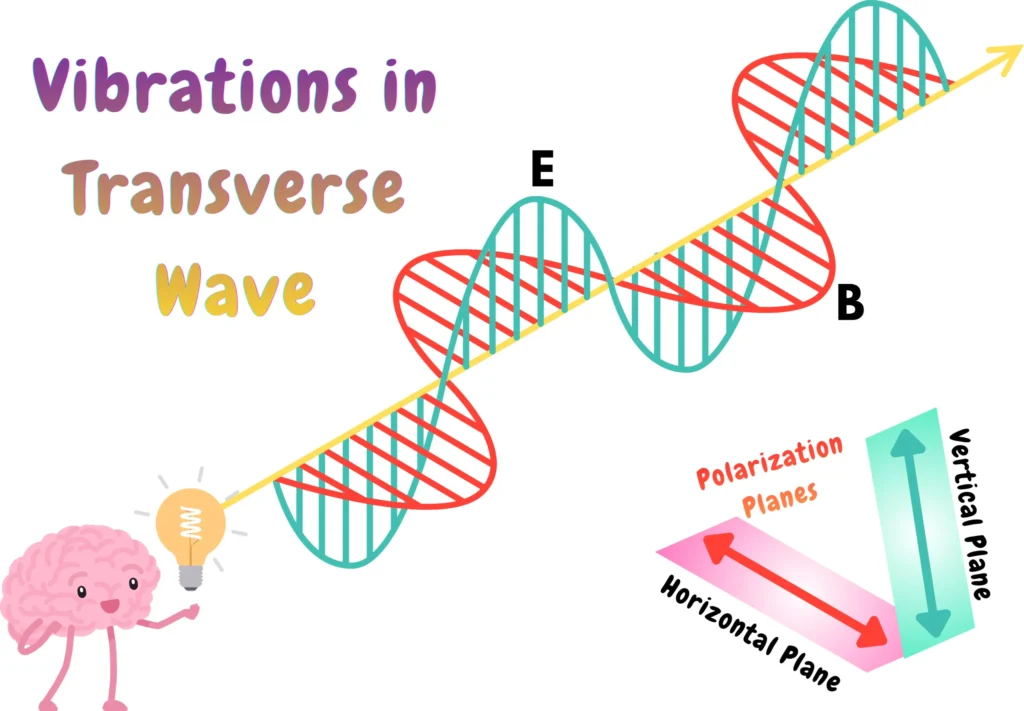 What is Polarization of Light_ _ Illustration of Vibrations in a Transverse Wave