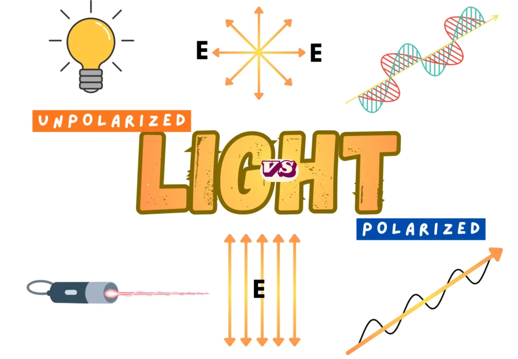 Difference between Unpolarized Light and Polarized Light _ Illustration