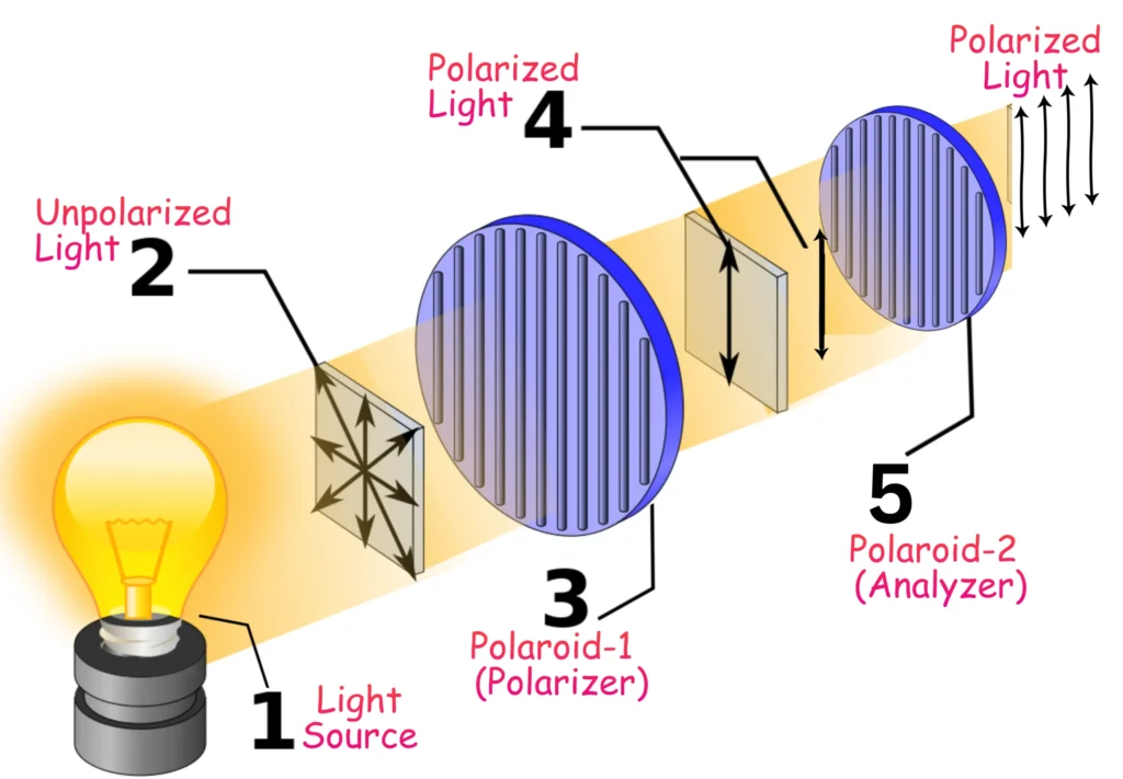 Illustration of Polarization Using Polaroids _ Parallel Polarizer and Analyzer