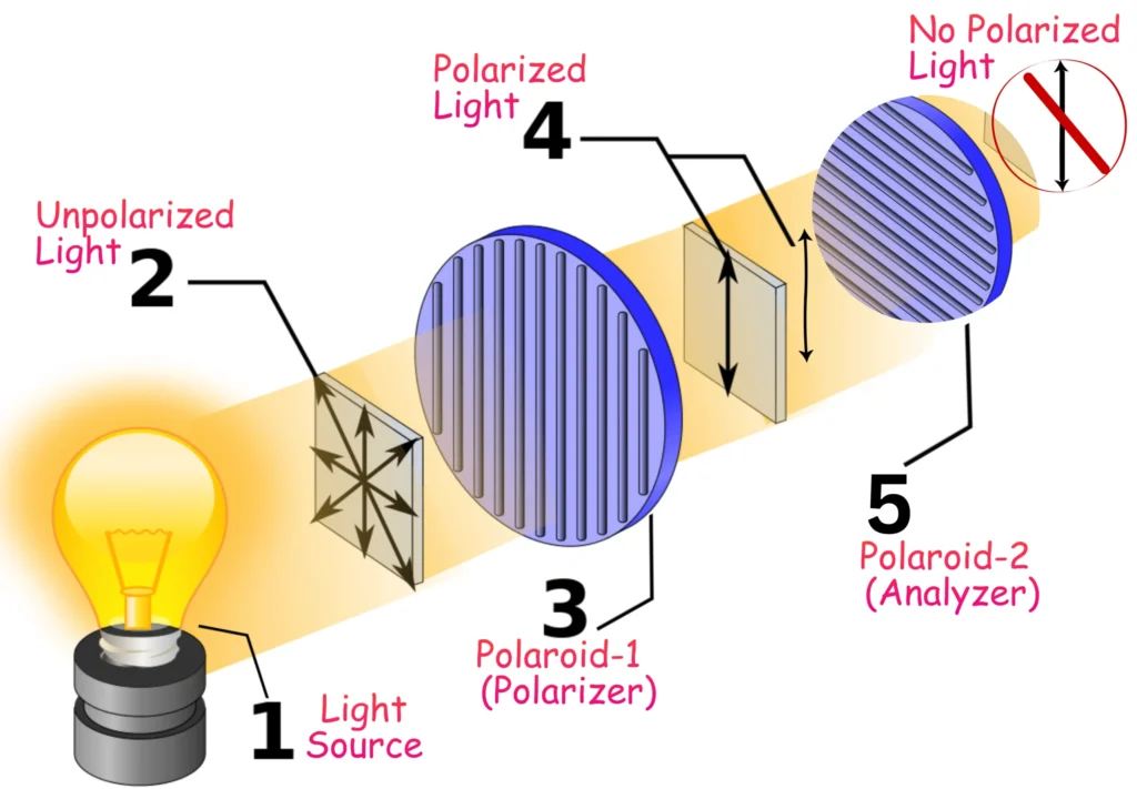 Illustration of Polarization Using Polaroids _ Perpendicular Polarizer and Analyzer
