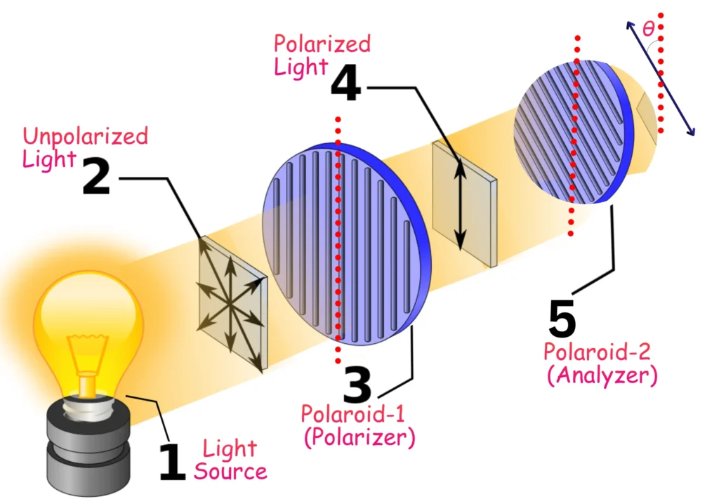 Schematic for Comprehensive Mathematical Derivation of Malus Law