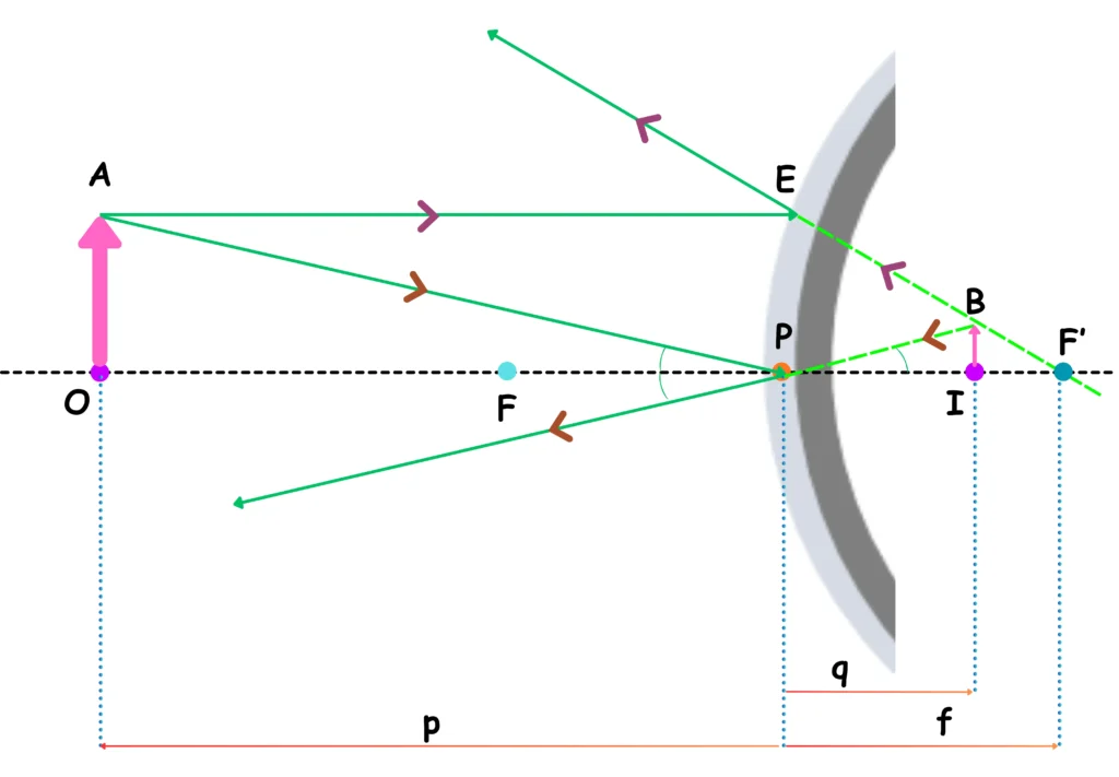 05 - How a Convex Mirror Forms an Image? _ Illustration
