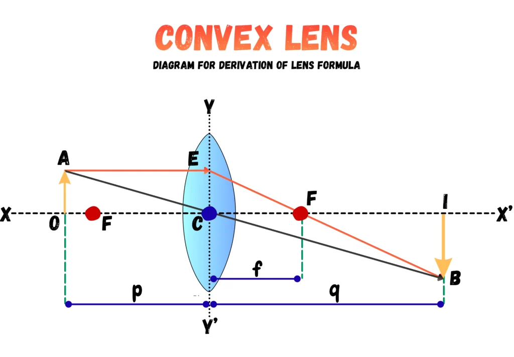 Labelled Convex Lens Diagram for Derivation of Lens Formula