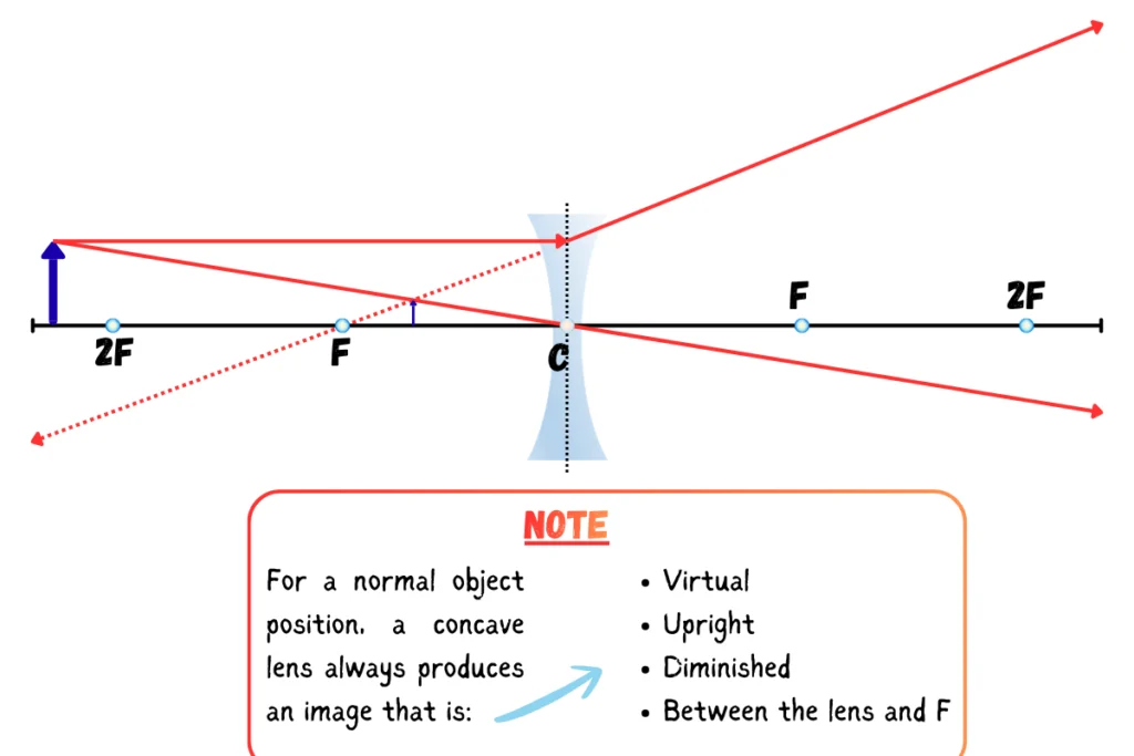Concave Lens Ray Diagram _ Standard Object Position