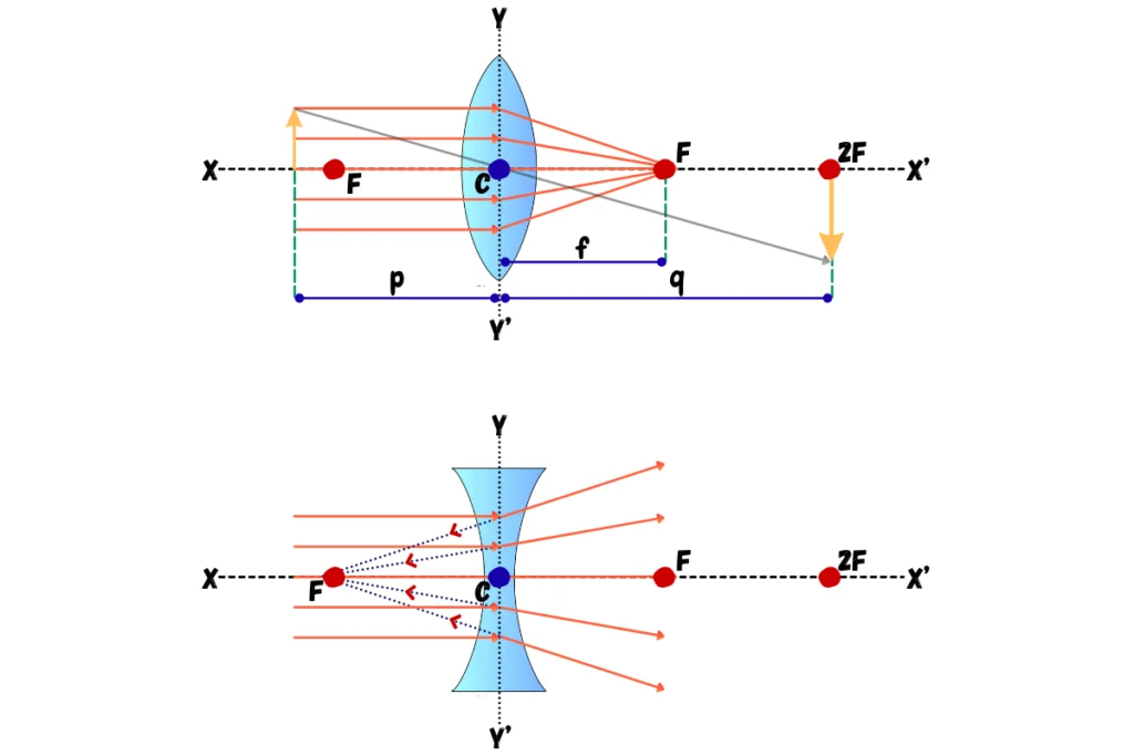 Ray Diagrams for Lenses | ContentXSeed.com