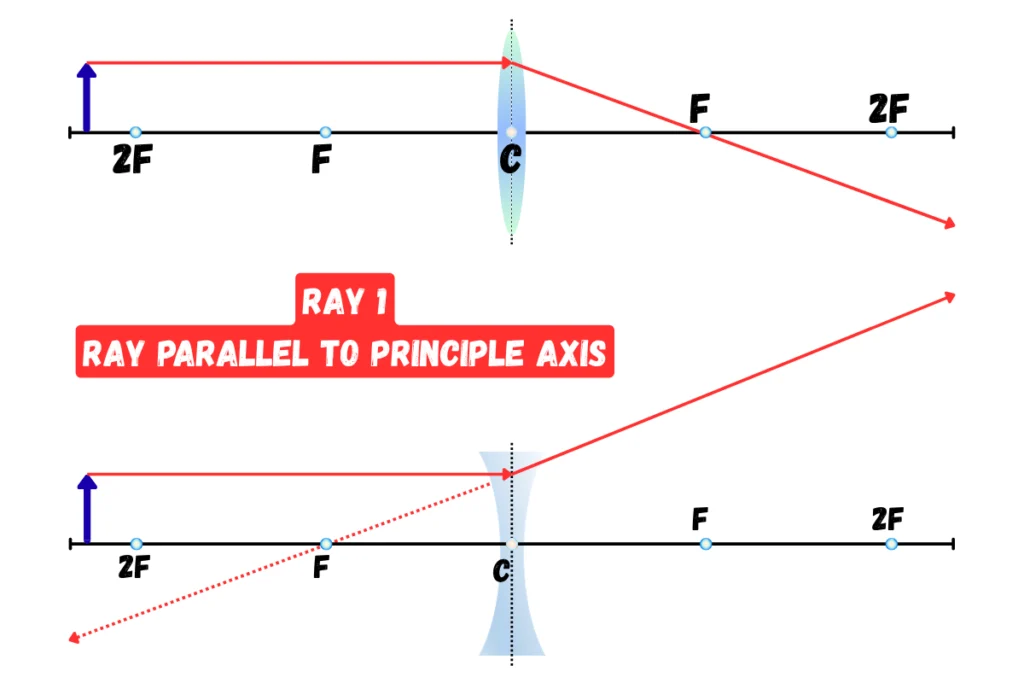 Rays Used in Lens Ray Diagrams _ Ray 1 _ Ray Parallel to Principle Axis