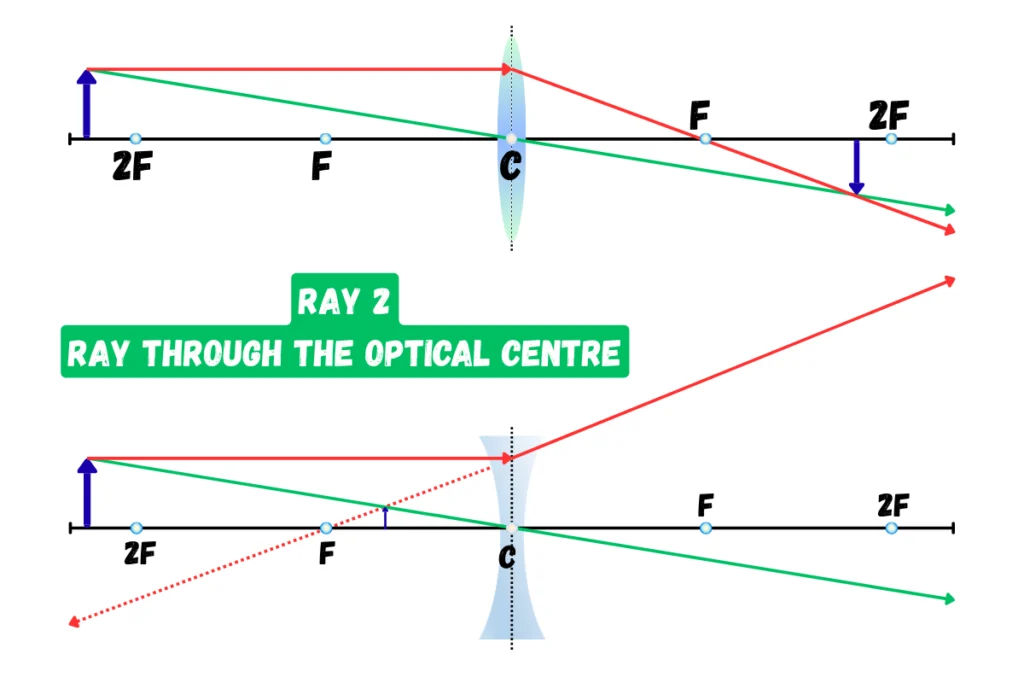 Rays Used in Lens Ray Diagrams _ Ray 2 _Ray through the Optical Centre
